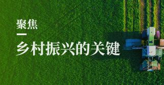 实施乡村振兴战略，这些关键点一个也不能少